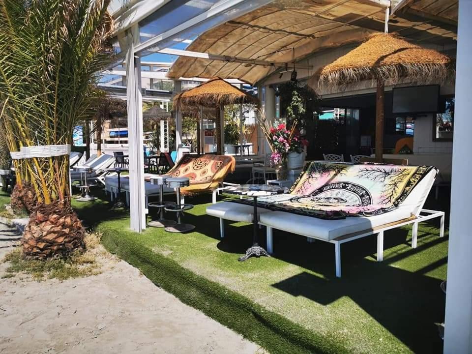 Andy Apartman, Santa Pola Dış mekan fotoğraf